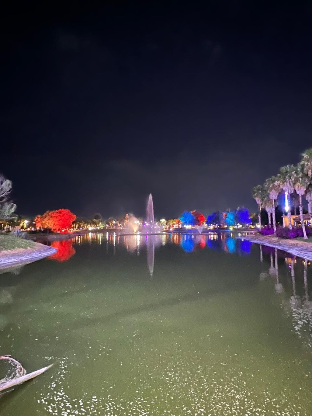 Árbol de Pirul iluminado con reflectores RGBW