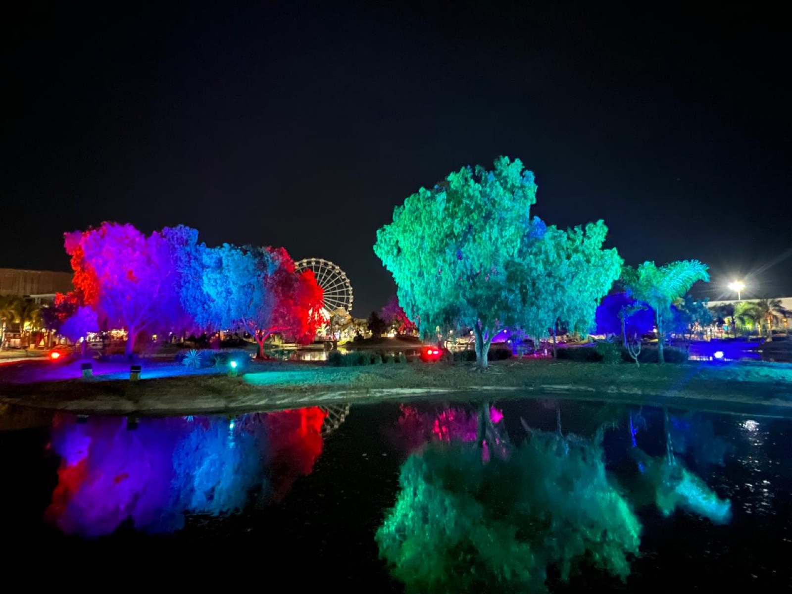 Árboles iluminados en rojo, azul y verde con su reflejo en el espejo de agua
